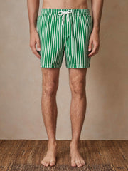 Reiss | | Ché Stripe Swim Shorts in Green/White