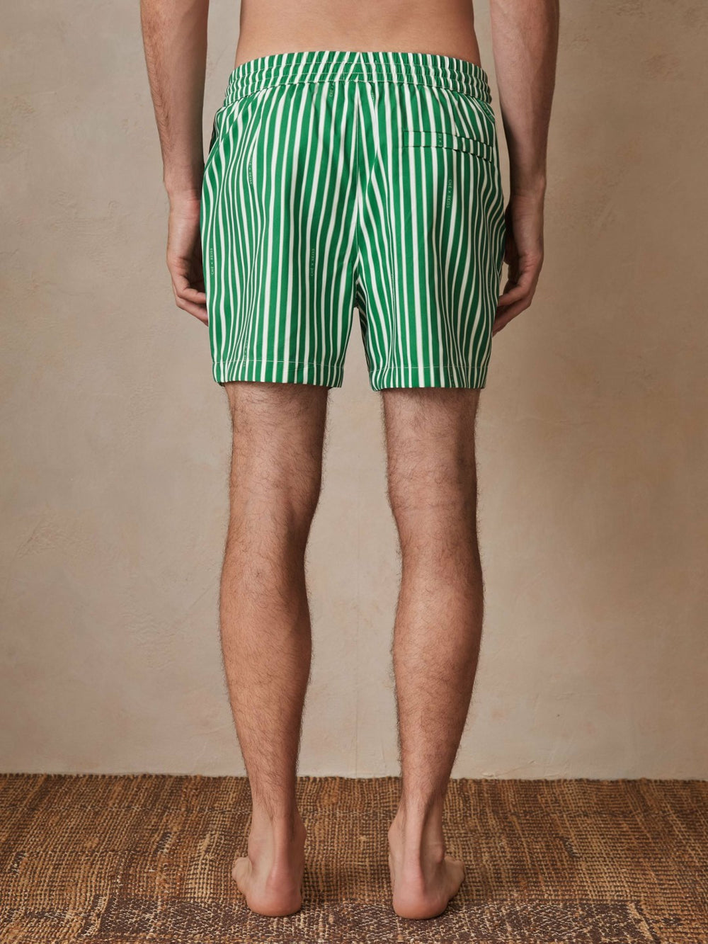 Reiss | | Ché Stripe Swim Shorts in Green/White