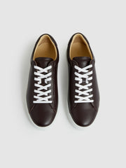 Reiss | Leather Low-Top Trainers in Plum Purple